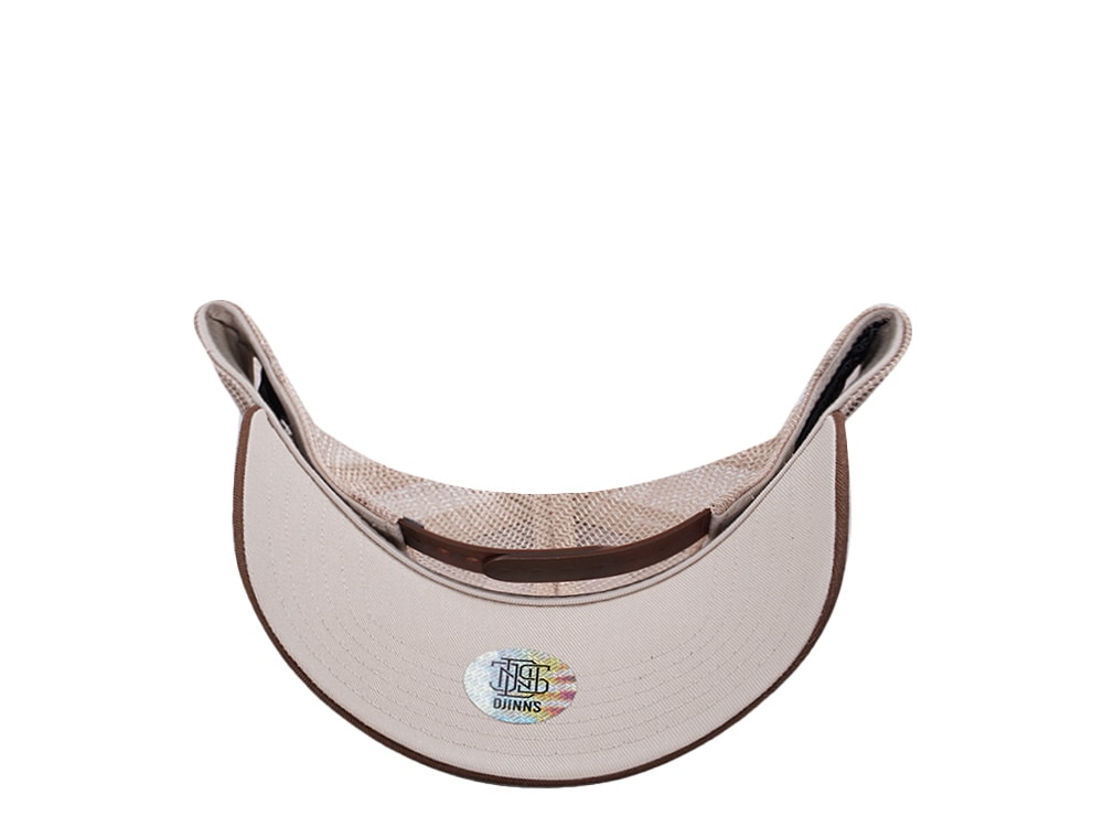 Djinns HFT Guy in a Cup Dark Brown Trucker Snapback Hat