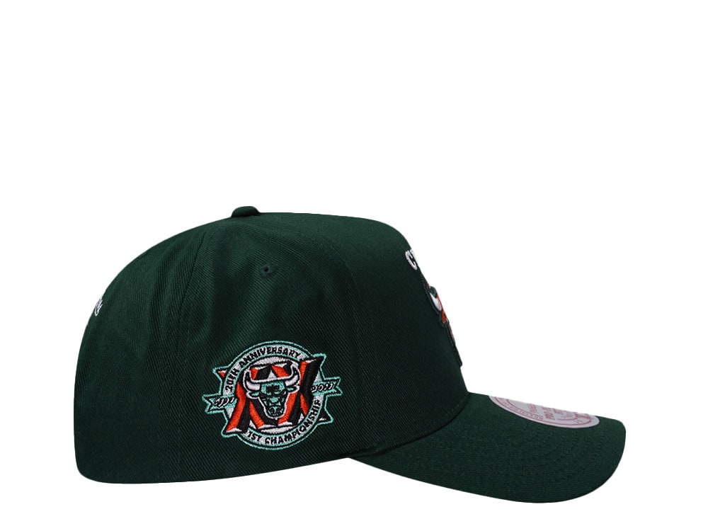 Mitchell & Ness Chicago Bulls 20th Anniversary Green Edition Pro Pinch Fit Snapback Hat