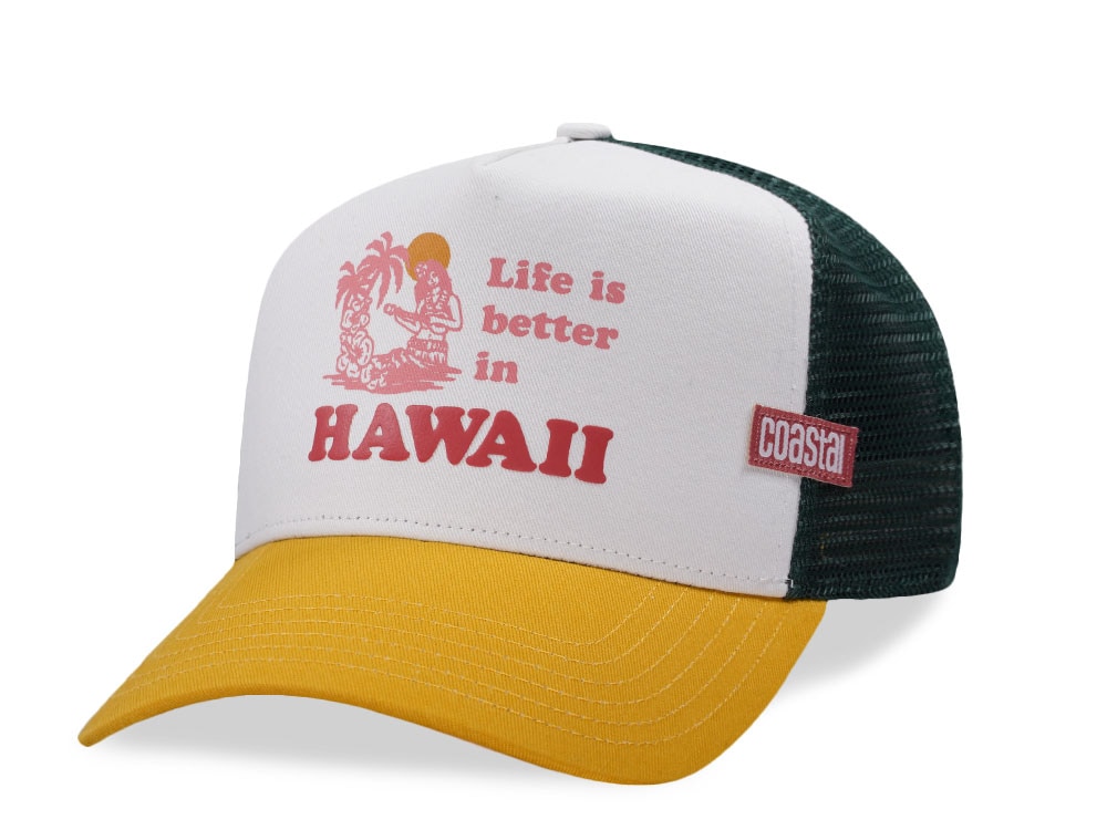 Djinns HFT Better Hawaii White Two Tone Edition Trucker Snapback Hat