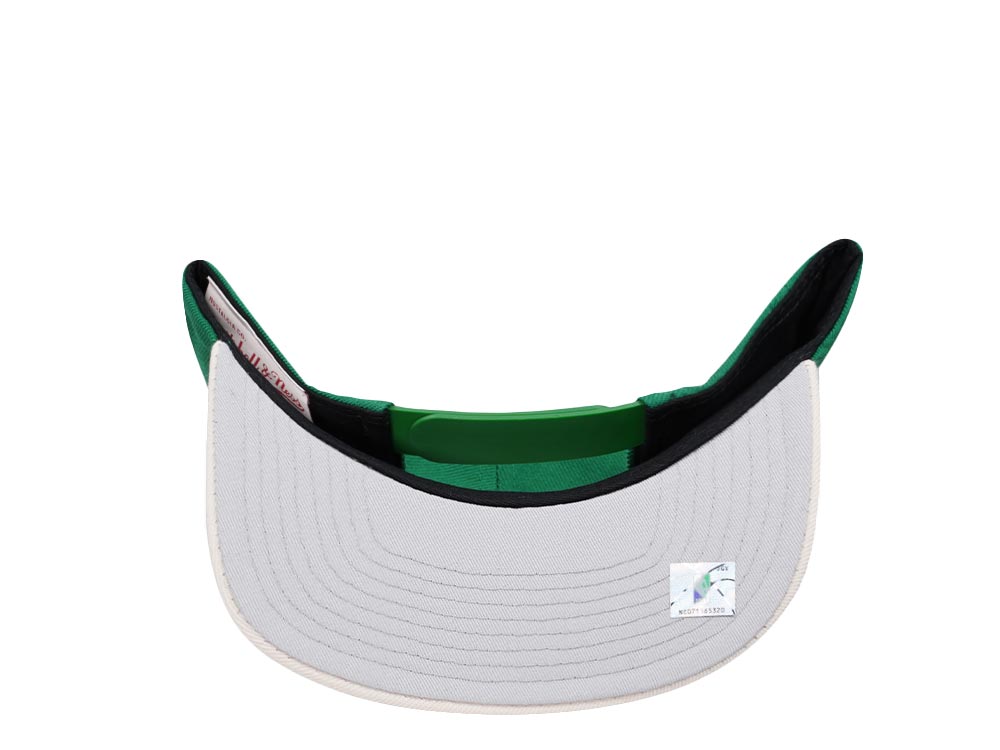 Mitchell & Ness Milwaukee Bucks Team Two Tone 2.0 Snapback Hat