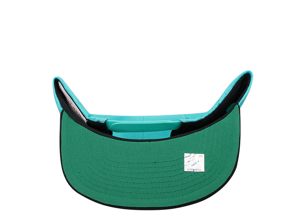 Mitchell & Ness Vancouver Grizzlies Team Two Tone 2.0 Teal Snapback Hat