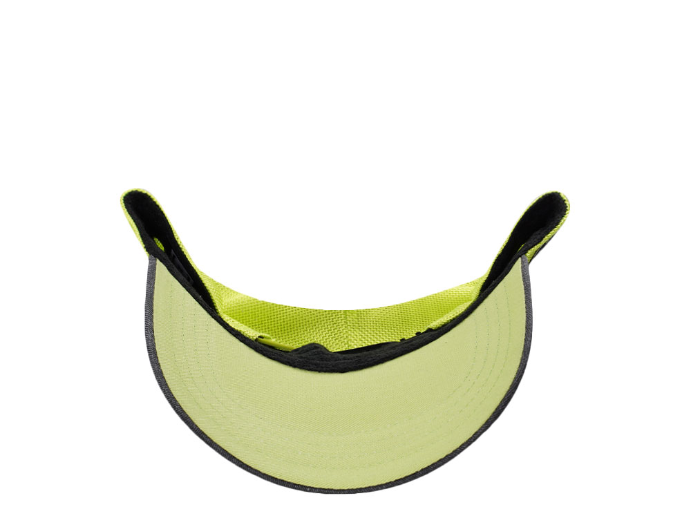 Capslab Rick And Morty Trucker Snapback Hat