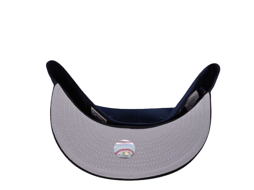 New Era Tampa Bay Rays Tropicana Field Metallic Two Tone Edition 59Fifty Fitted Hat