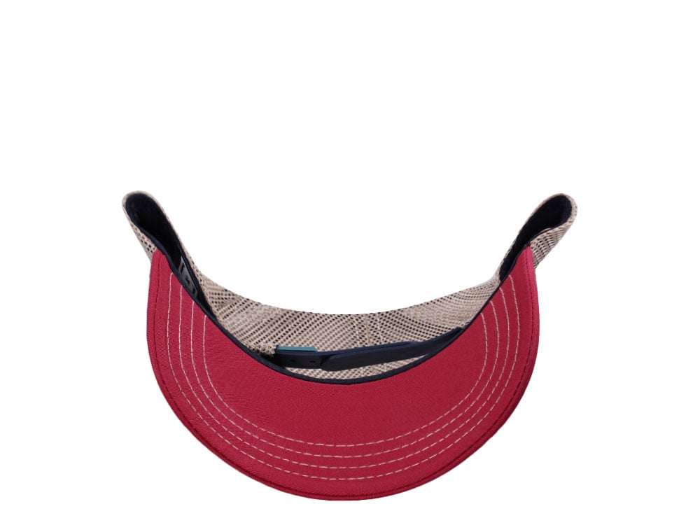 Capslab Looney Tunes Sylvester Trucker Snapback Hat