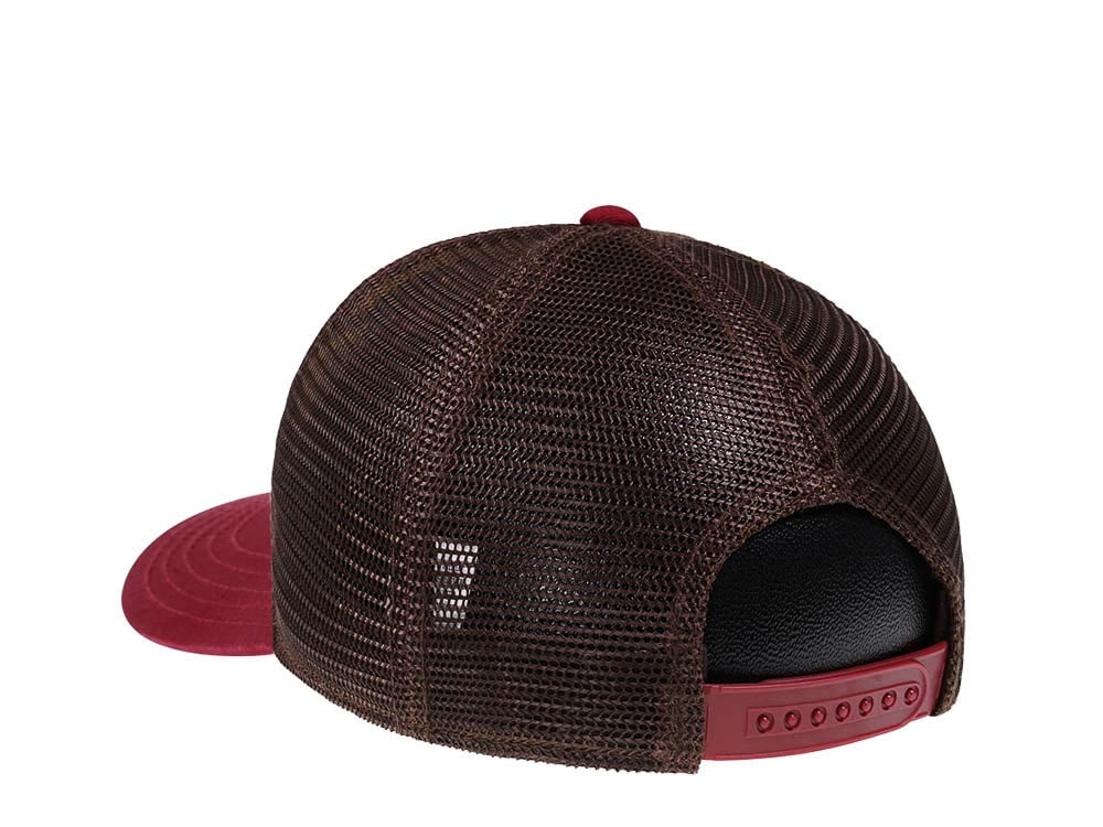 American Needle Grand Canyon NP Sinclair Trucker Snapback Hat