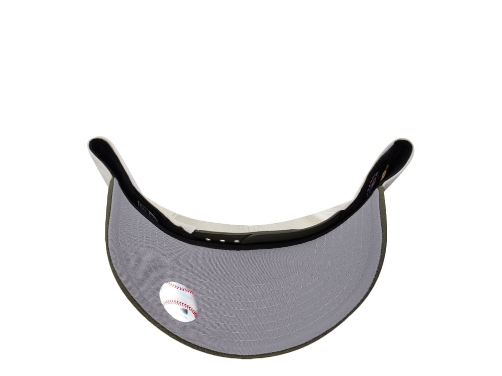New Era Chicago Cubs Be Alert Chrome Two Tone Edition 9Forty A Frame Snapback Hat