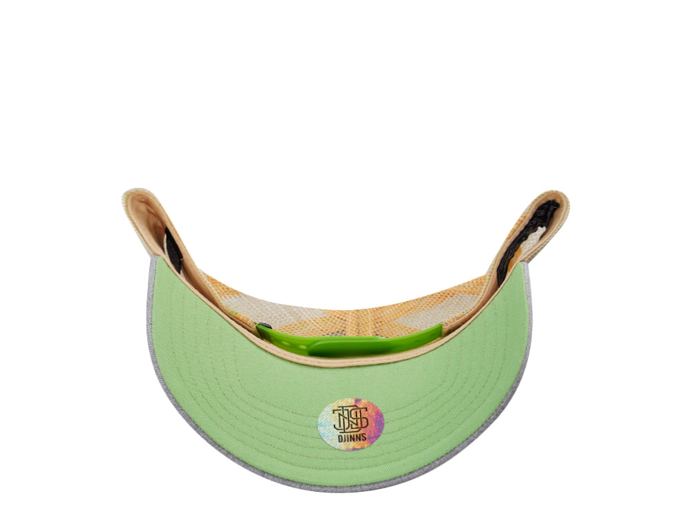 Djinns Do Nothing Club Multicolor Trucker Snapback Hat