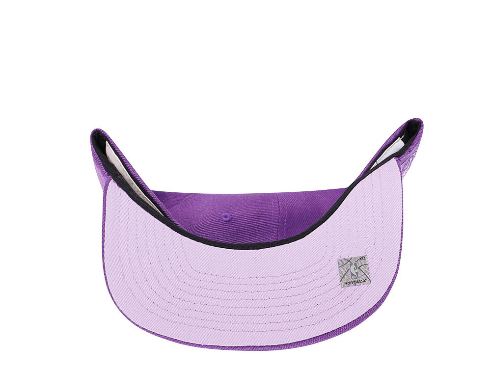Mitchell & Ness Toronto Raptors Purple Hardwood Classic Snapback Hat
