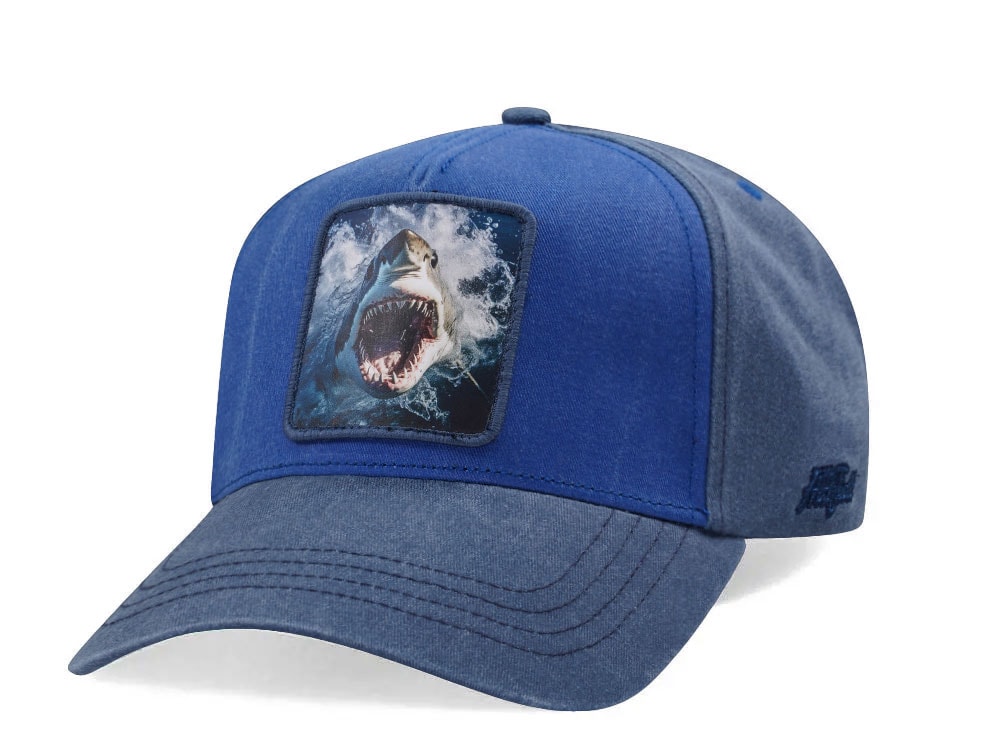 Hatfield Baby Shark Blue Snapback Hat