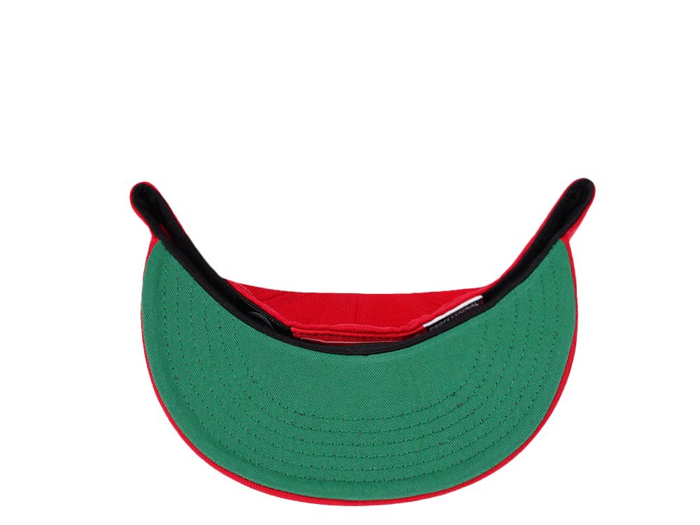 American Needle Detroit Red Wings Classic Fitted Hat