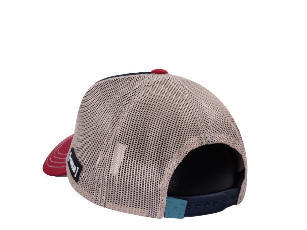 Capslab Looney Tunes Sylvester Trucker Snapback Hat