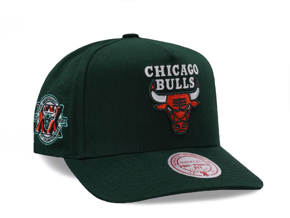 Mitchell & Ness Chicago Bulls 20th Anniversary Green Edition Pro Pinch Fit Snapback Hat
