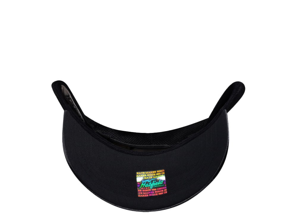 Hatfield Black Panther Black Trucker Snapback Hat