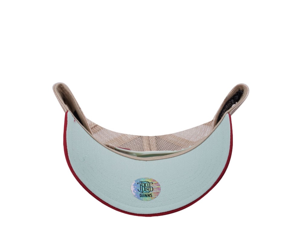 Djinns HFT High Lines Offwhite Two Tone Edition Trucker Snapback Hat