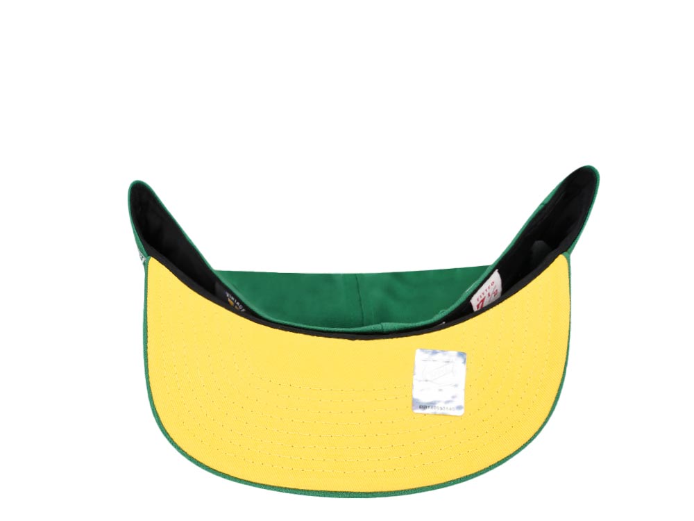 Mitchell & Ness Minnesota North Stars 20th Anniversary Vintage Edition Dynasty Fitted Hat