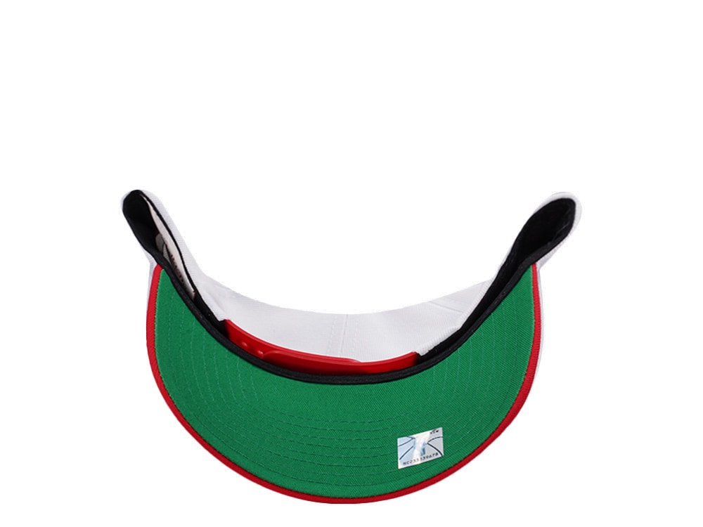 Mitchell & Ness Chicago Bulls NBA Playoffs 1996 Chrome Two Tone Editon Pro Crown Fit Snapback Hat