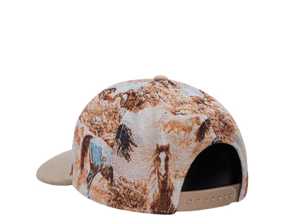 American Needle Coors Archibald Multicolor Snapback Hat
