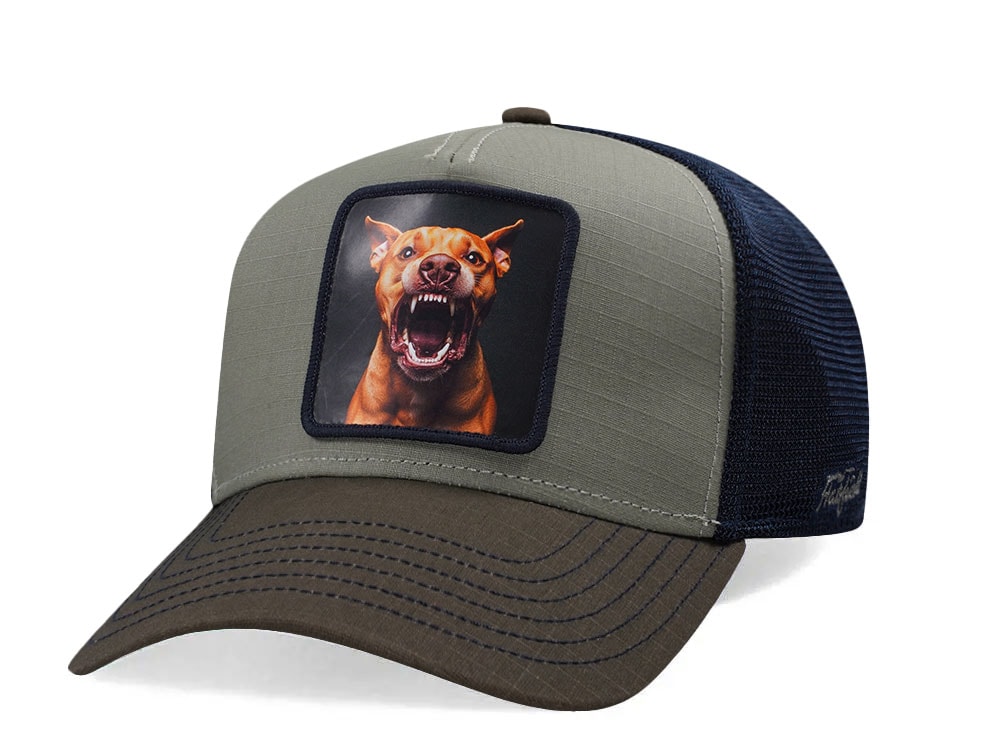 Hatfield Barking Dog Olive Trucker Snapback Hat