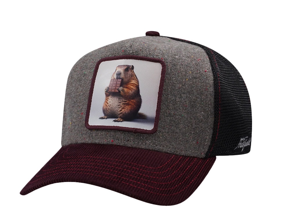 Hatfield Chocolate Beaver Burgundy Gray Trucker Snapback Hat
