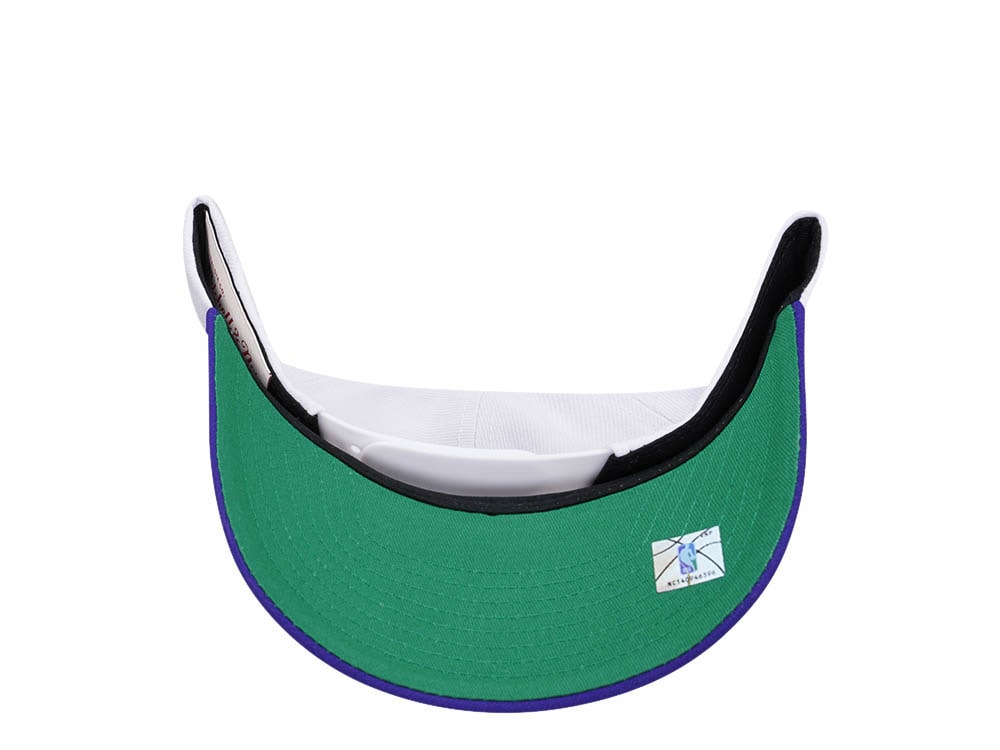 Mitchell & Ness Charlotte Hornets Team Two Tone 2.0 Pro Snapback Hat
