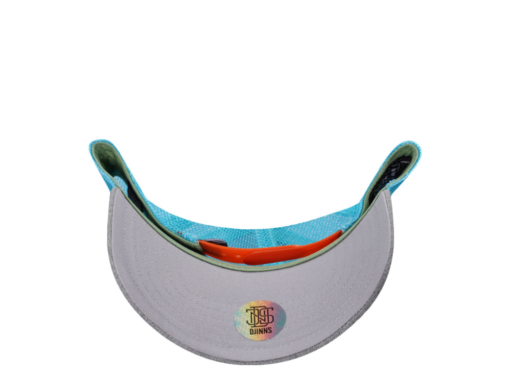 Djinns The Glow Coastal Trucker Snapback Hat