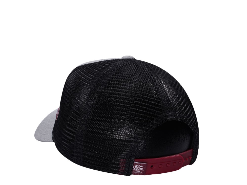 Djinns See You Out There Gray Trucker Snapback Hat