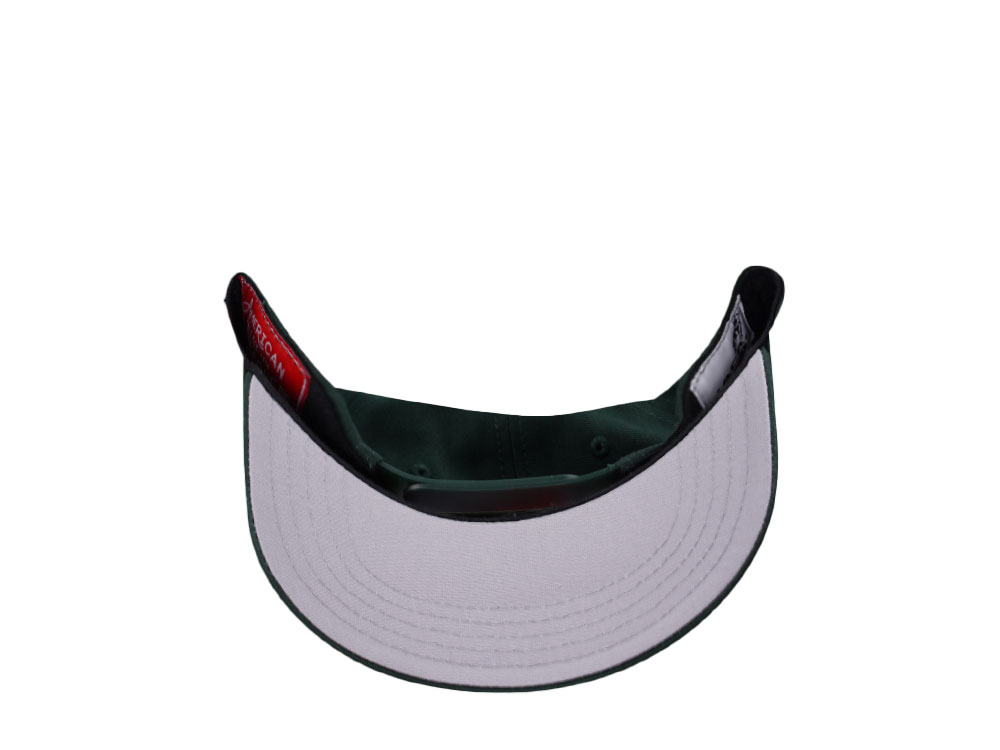 American Needle Mack Truck Valin Dark Green Snapback Hat