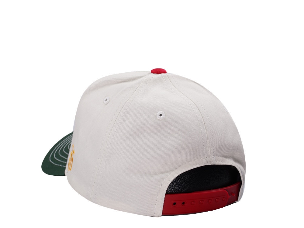 Parallel Union Mexico Skull Headdress Chrome Two Tone Edition Snapback Hat