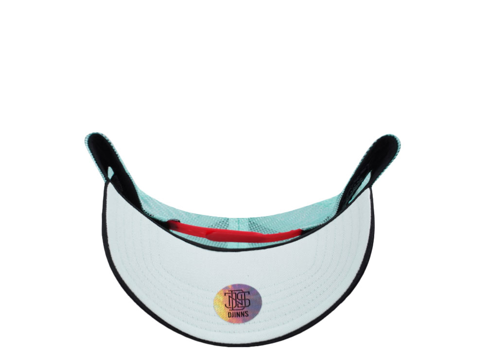 Djinns Street Disco Mint Trucker Snapback Hat