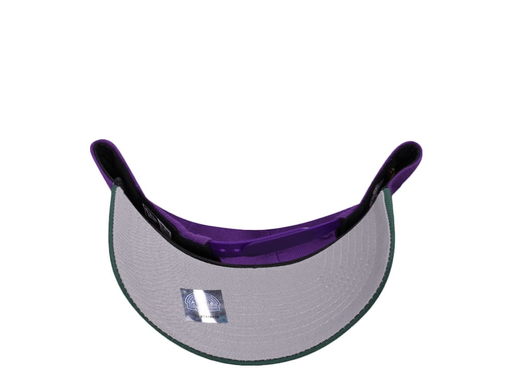 New Era Tampa Smokers Purple Gold Two Tone Edition 9Forty A Frame Snapback Hat