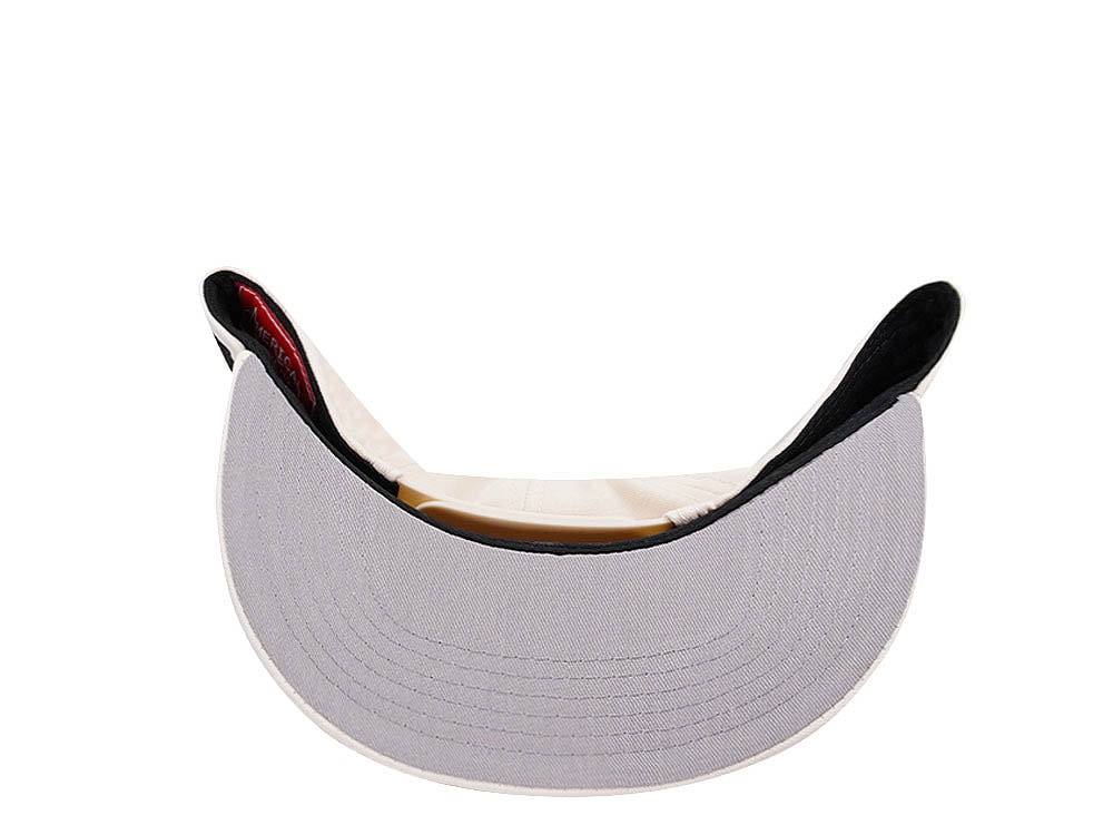 American Needle Hanshin Tigers Blockhead 2.0 Casual Snapback Hat