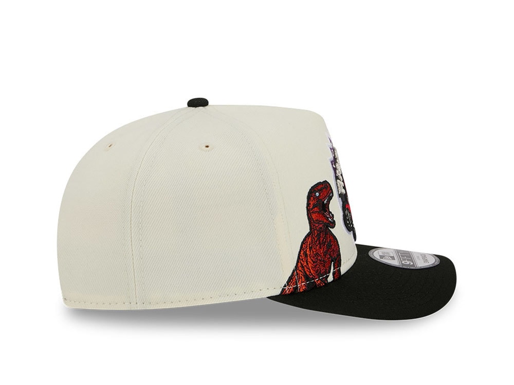 Toronto Raptors Shadow Fade Snapback Cap - 9Fifty Official Style