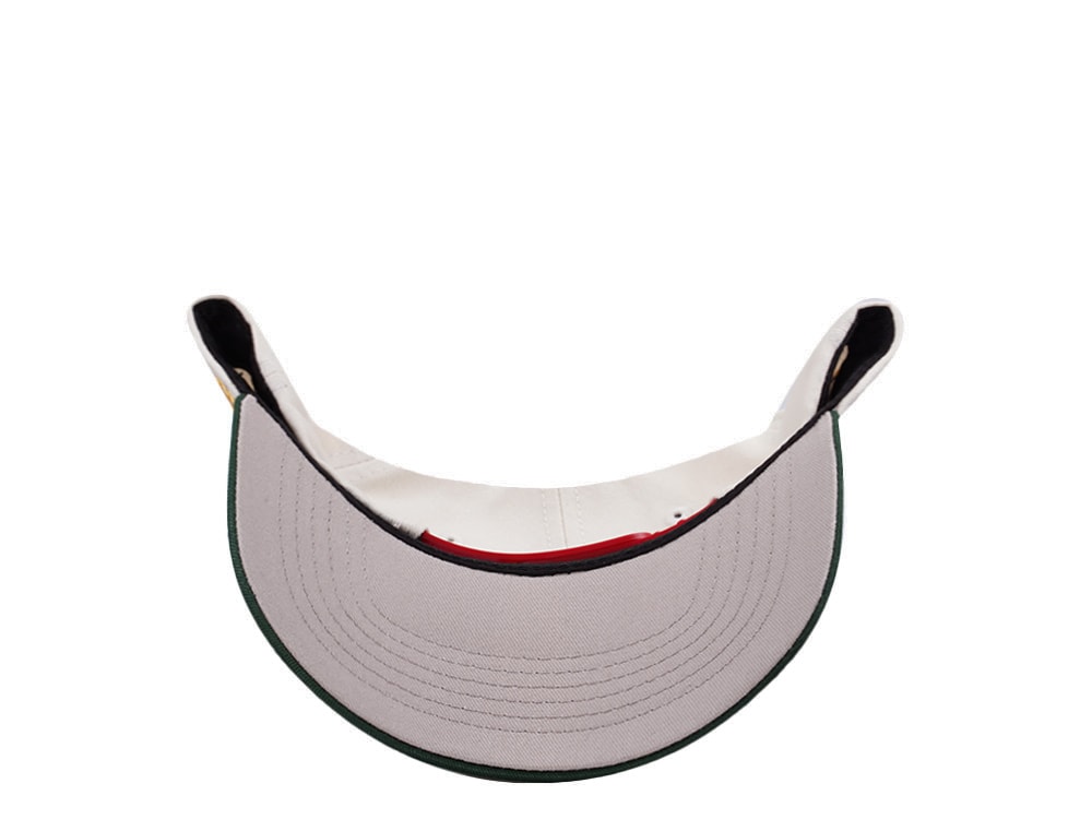 Parallel Union Mexico Skull Headdress Chrome Two Tone Edition Snapback Hat