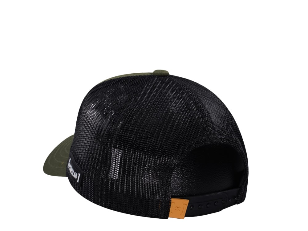 Capslab Legend of Zelda Link Trucker Snapback Hat