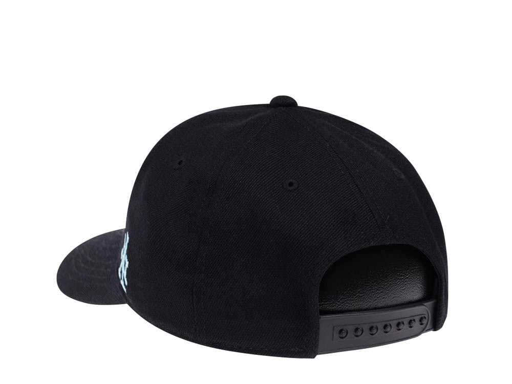 American Needle Yosemite National Park Black Snapback Hat